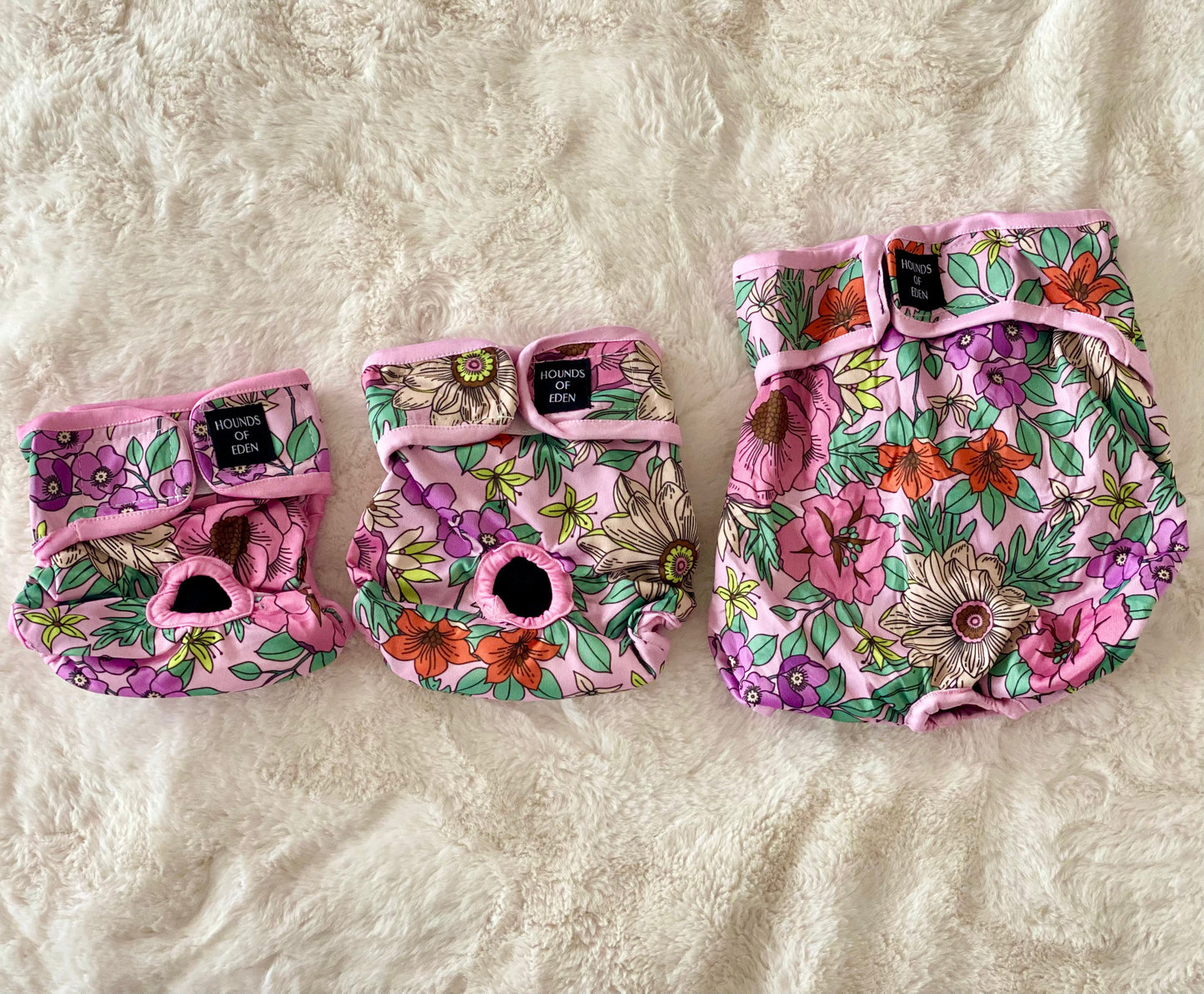 Wild Blossom - Dog Season Hygiene Panties - The Bark Market