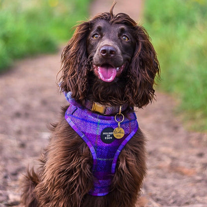 'Molly' - Pink & Purple Check Dog Harness - The Bark Market