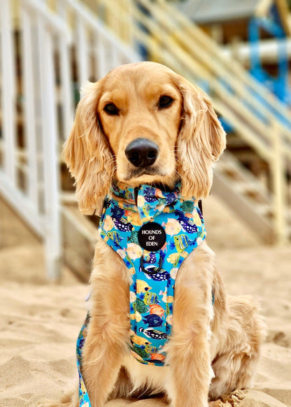 Under The Sea Design Dog Harness - The Bark Market