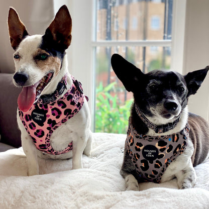 'Steel Leopard' - Khaki/Grey Dog Harness - The Bark Market