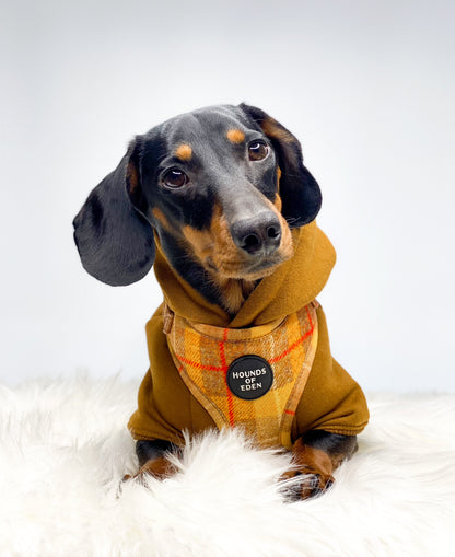 'Honey' - Yellow Check Dog Harness - The Bark Market
