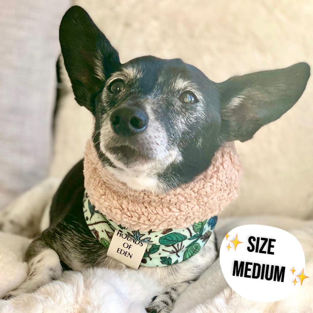 Ferntastic Dog Snood - The Bark Market