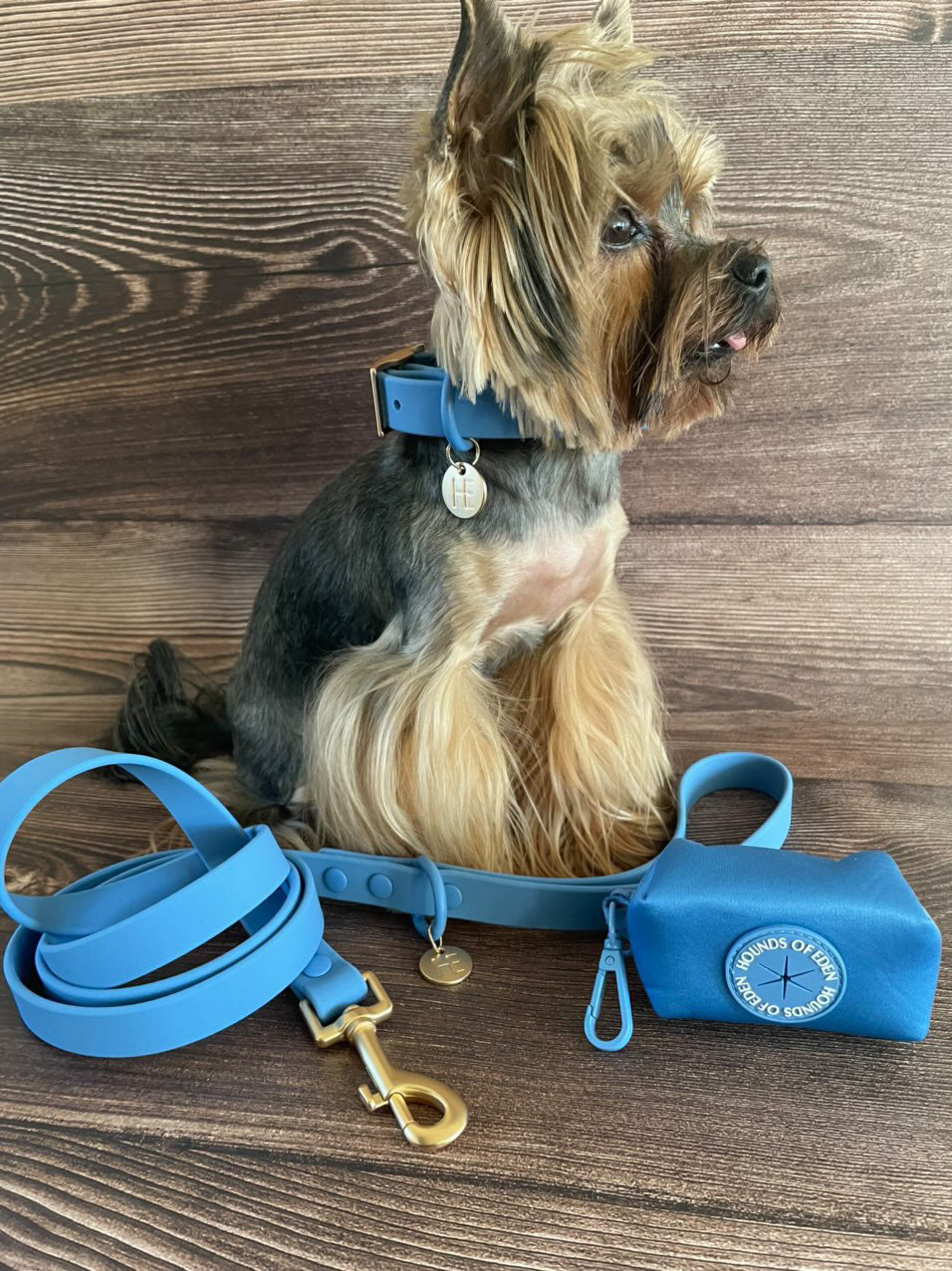 Lichen Blue 'All Weather' Dog Lead - The Bark Market