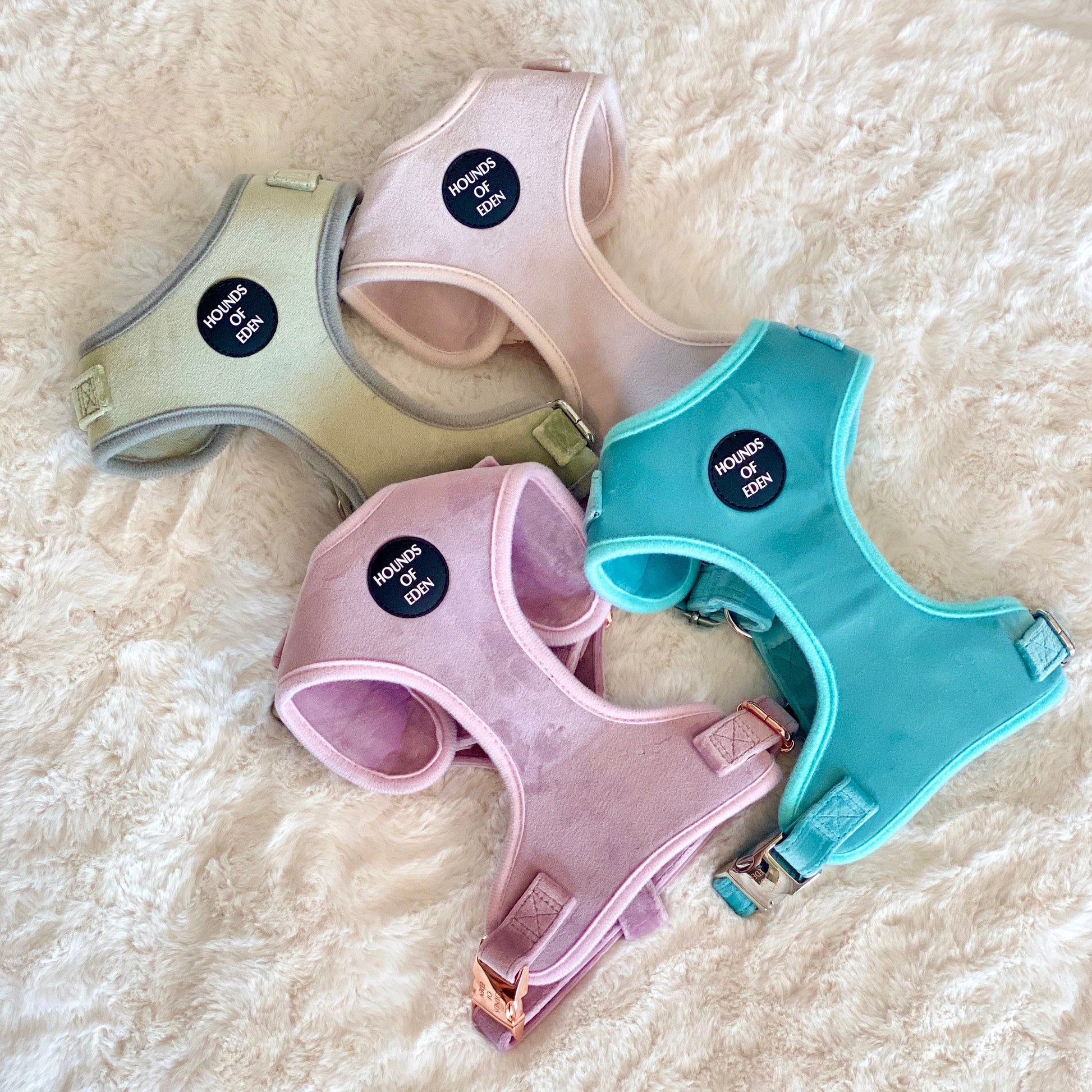 Tiffany's - Light Teal Velvet Dog Harness with Silver Metal Hardware - The Bark Market