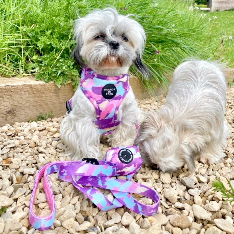 'Blush it Off' - Pink, Purple, Pastel Mint & Lemon Camo Pattern Dog Harness - The Bark Market