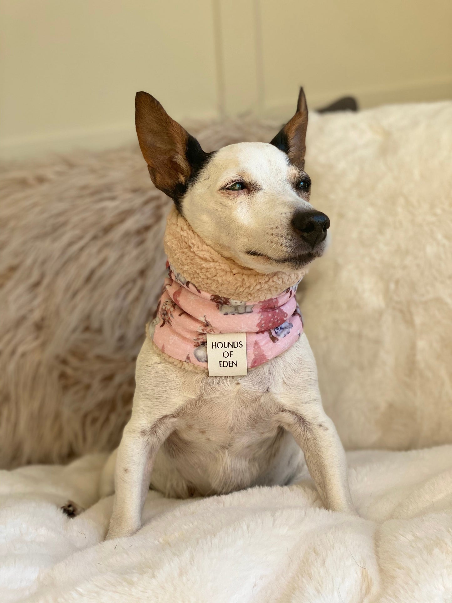 Arctic Wonderland Dog Snood - The Bark Market