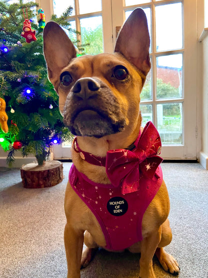 Magenta Sky Velvet Harness - The Bark Market