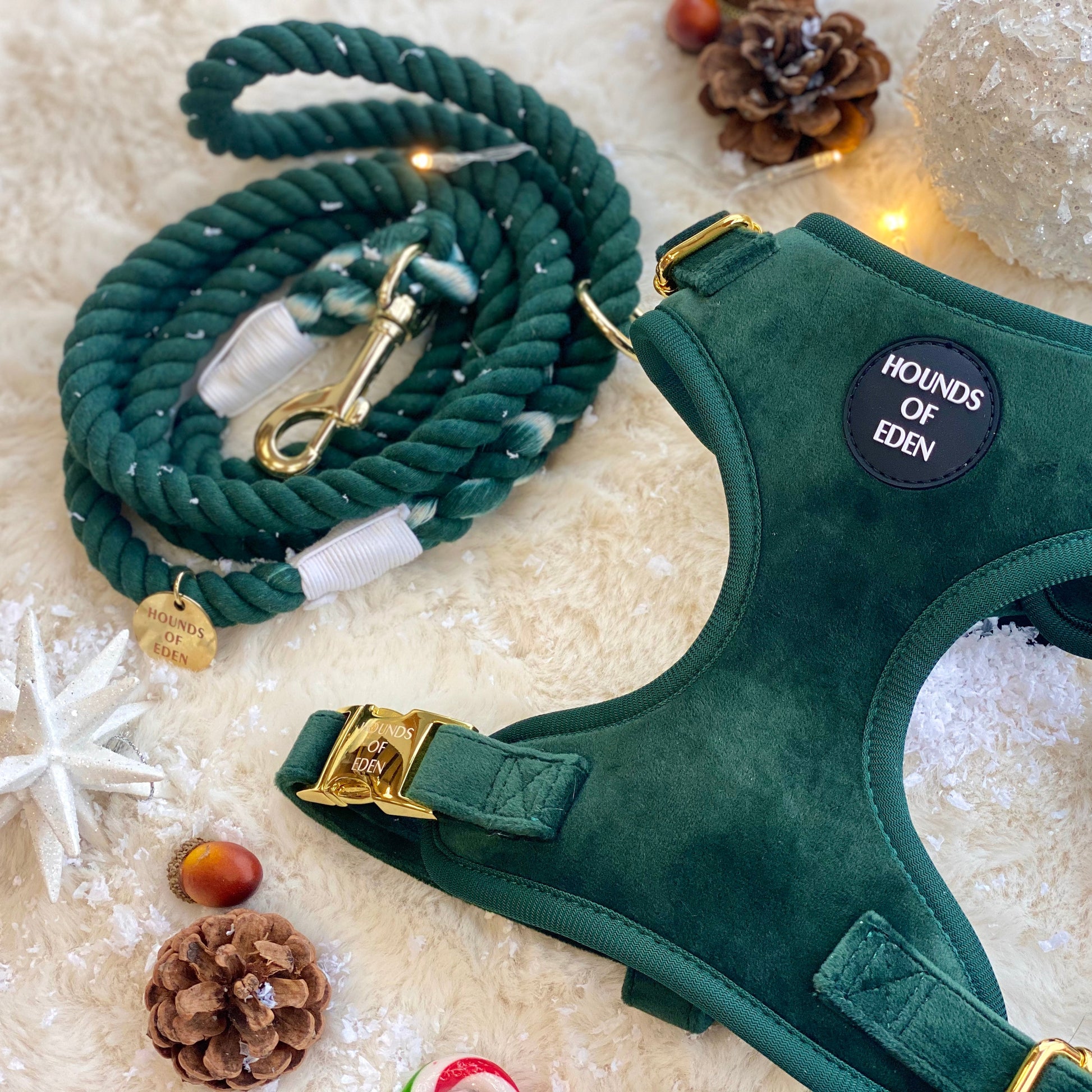 Olive Green Velvet Harness - The Bark Market