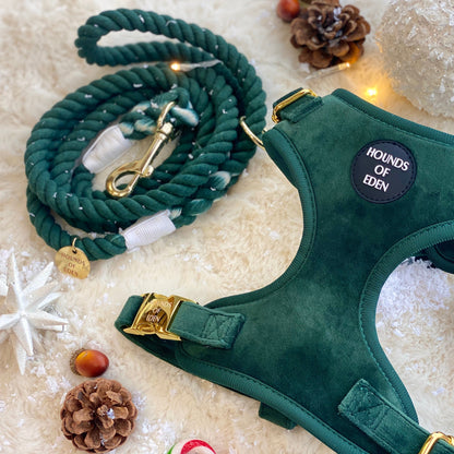 Olive Green Velvet Harness - The Bark Market