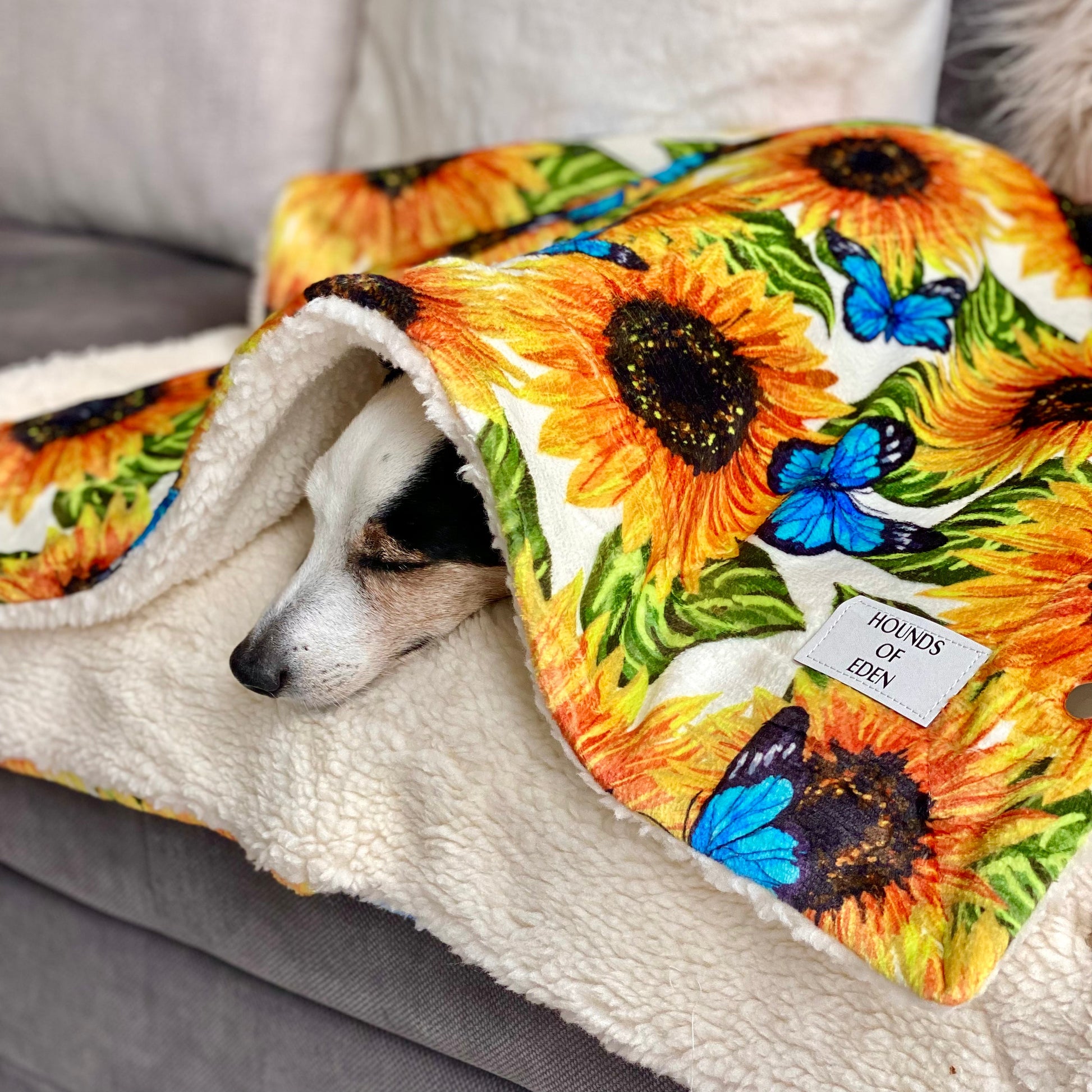 Sunflower Flutter Dog Snuggle Blanket - The Bark Market