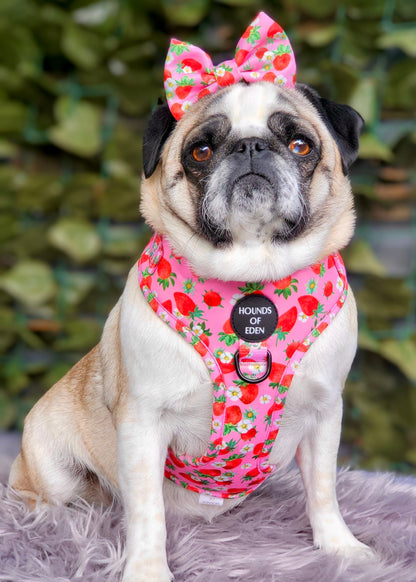 Strawberry Patch Design Dog Harness - The Bark Market