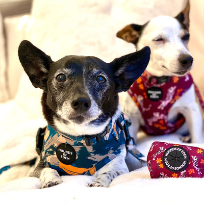 'Brush it Off' - Olive, Blue & Orange Camo Pattern Dog Harness - The Bark Market