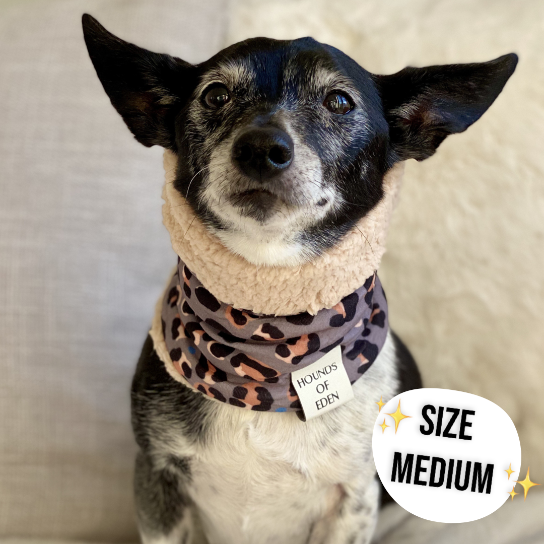 Steel Leopard Dog Snood - The Bark Market