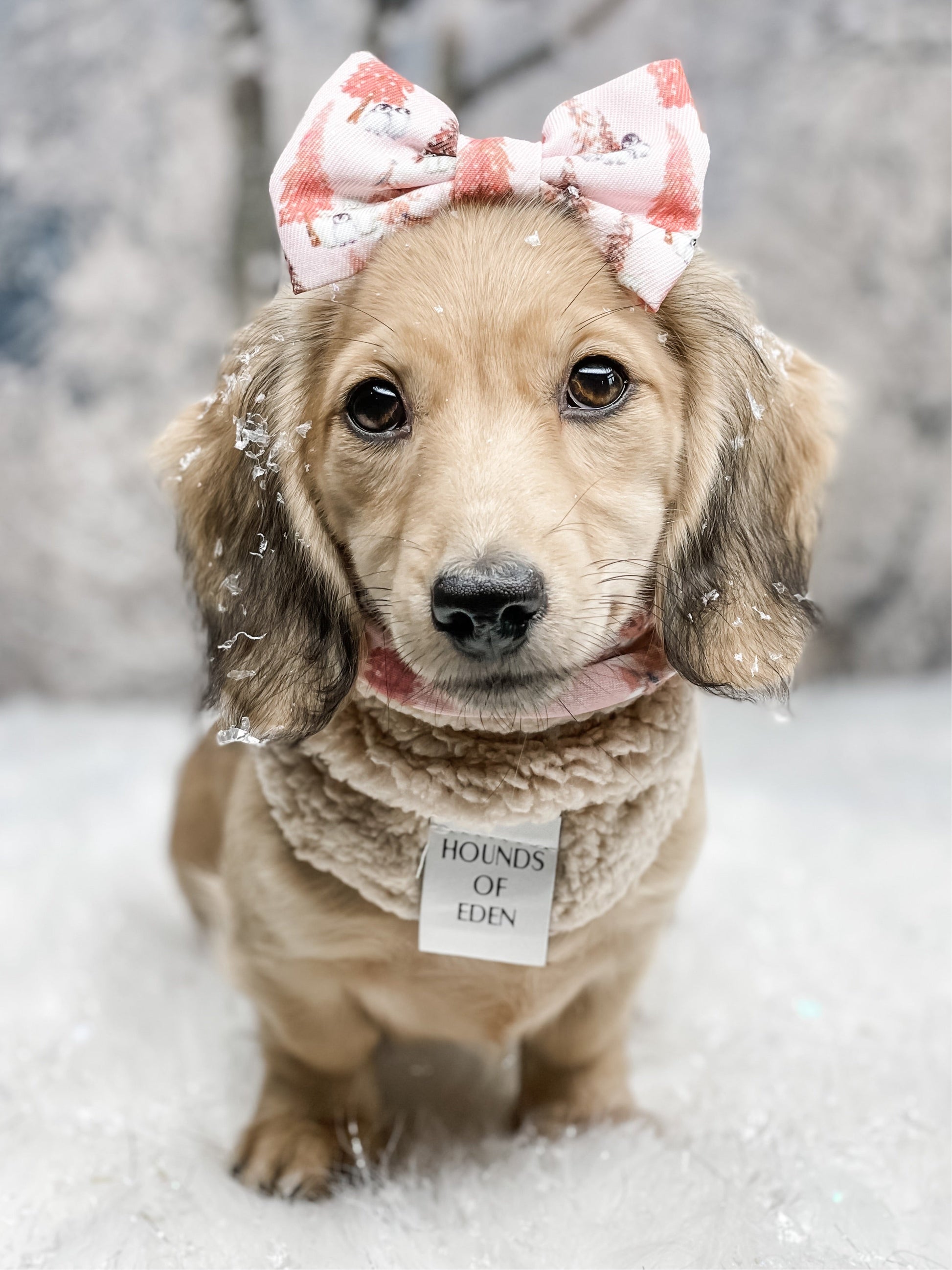 Arctic Wonderland Dog Snood - The Bark Market