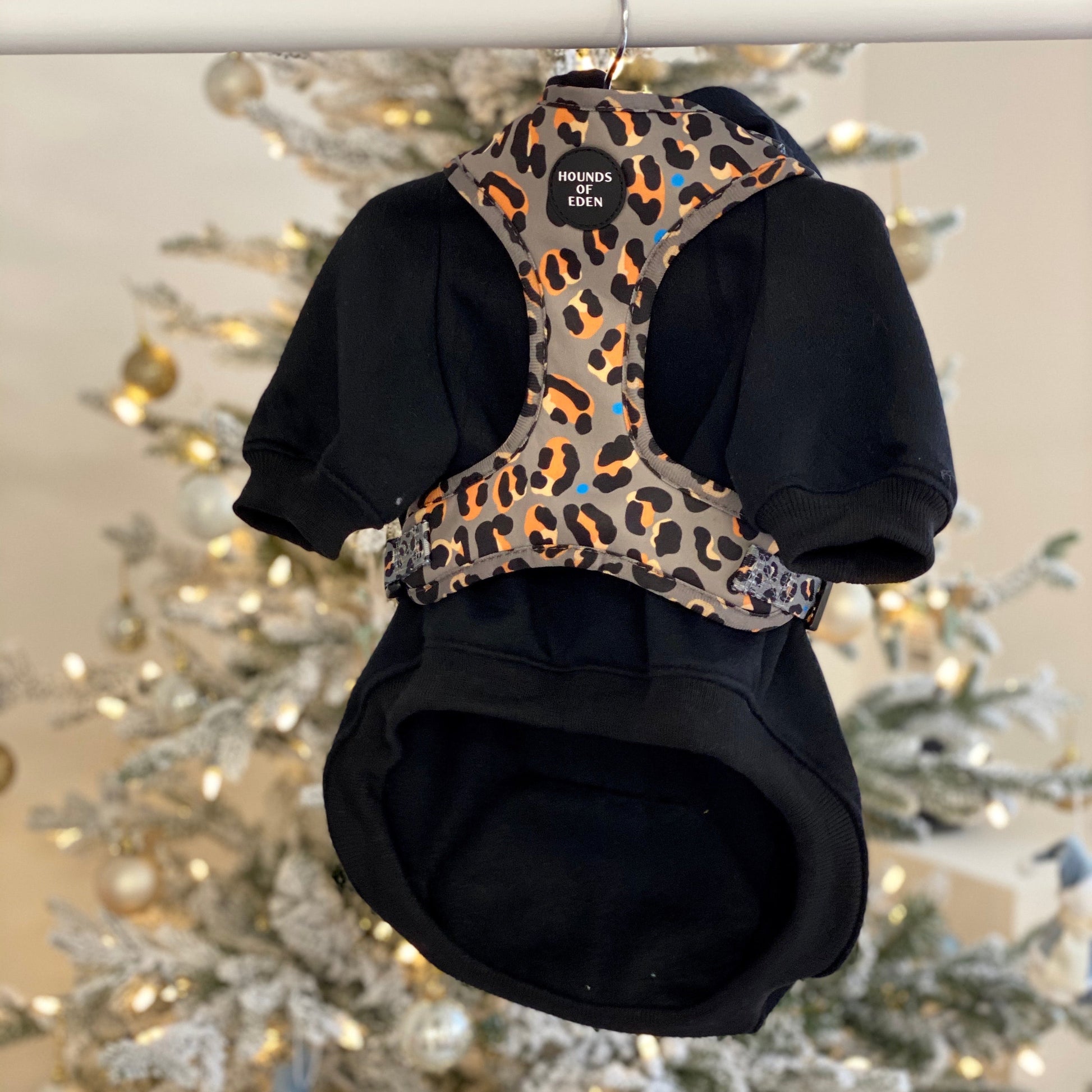 Dog Hoodie - Black - The Bark Market