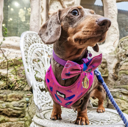 Peacock Power Adjustable Dog Harness - hot pink peacock feather dog harness - The Bark Market