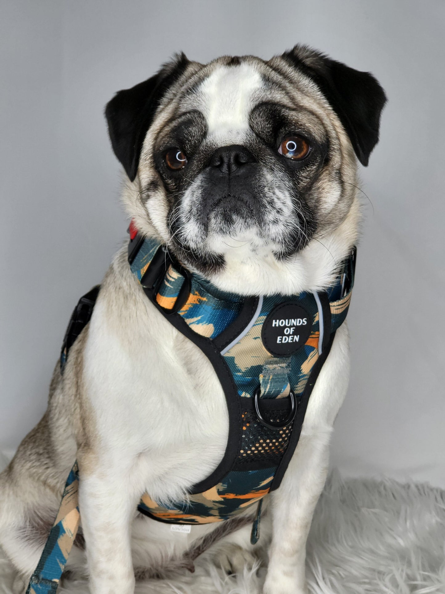 Supaw Strong™ 'Brush It Off' Utility Harness - The Bark Market