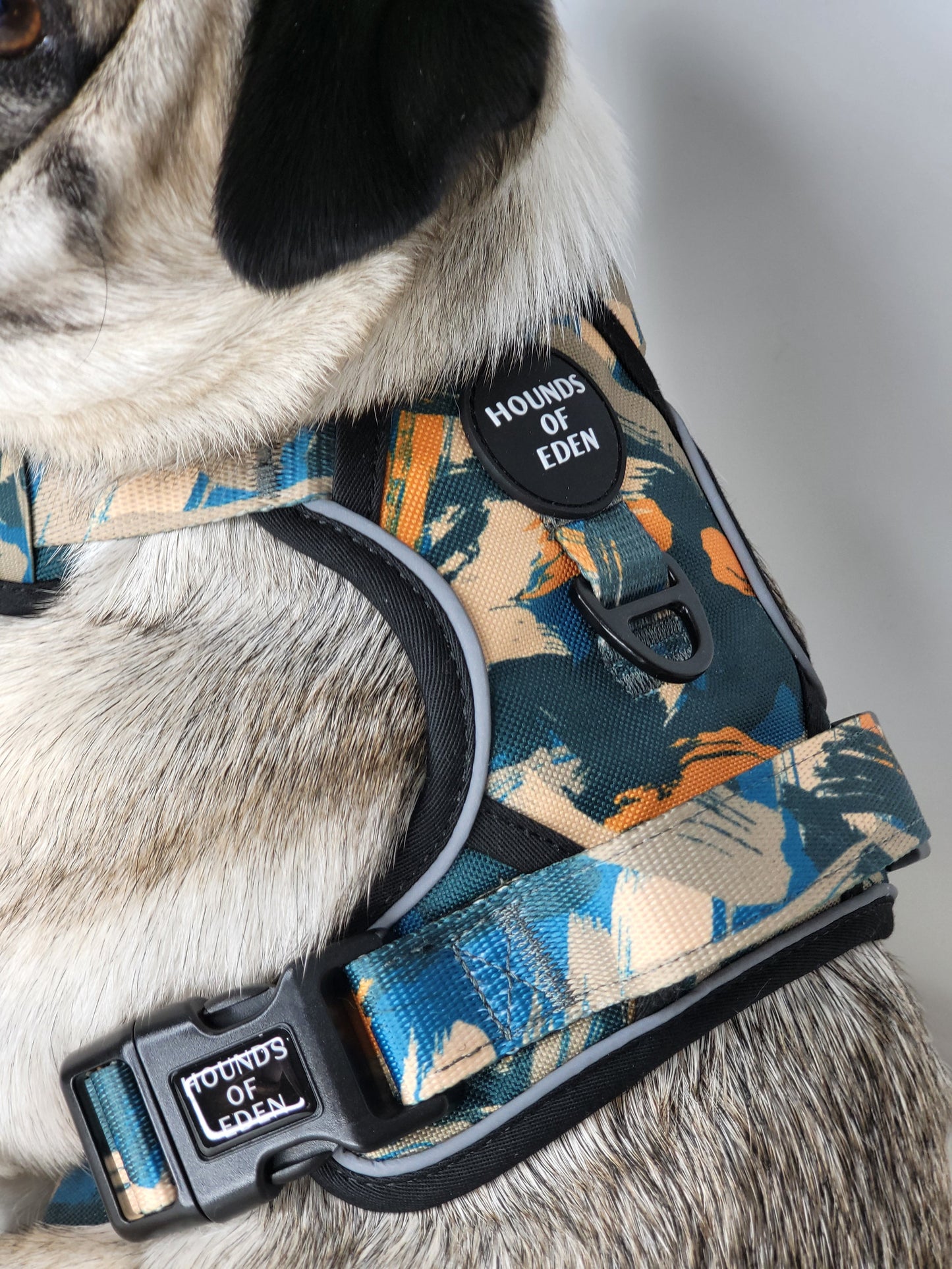 Supaw Strong™ 'Brush It Off' Utility Harness - The Bark Market