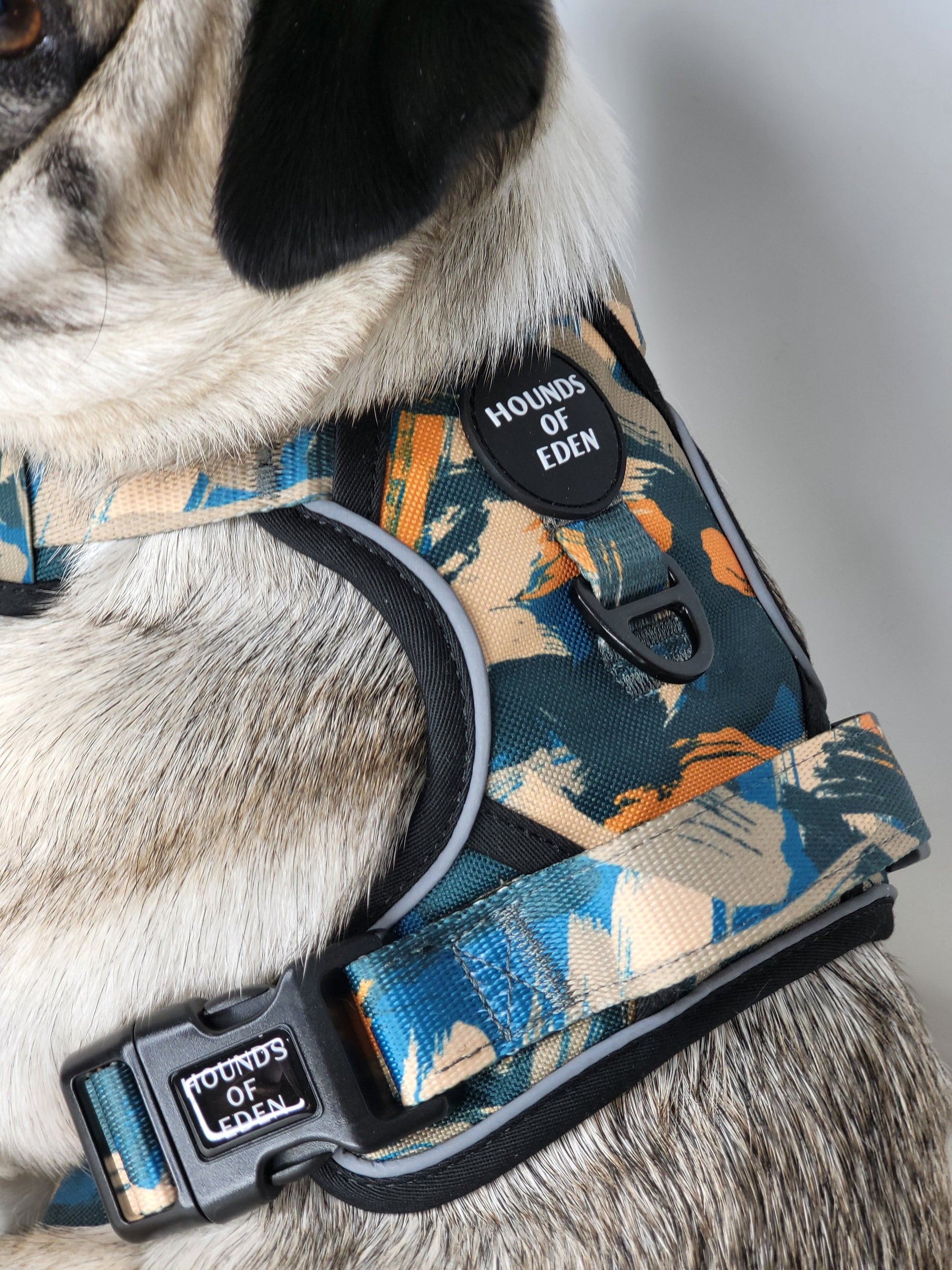 Supaw Strong™ 'Brush It Off' Utility Harness - The Bark Market