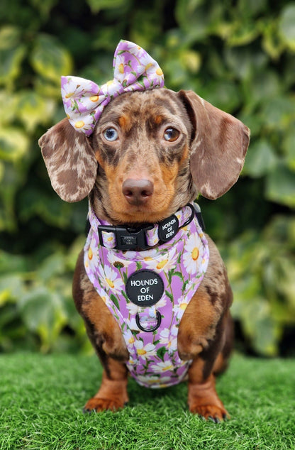 Daisy Dreams Design Dog Harness - The Bark Market