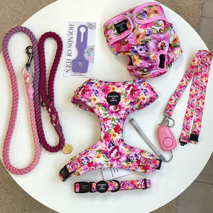 'Florentina' - Floral Dog Harness - The Bark Market