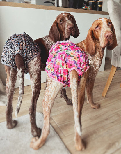 'Florentina' - Dog Season Hygiene Panties - The Bark Market