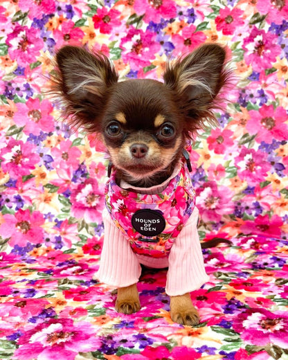 'Florentina' - Floral Dog Harness - The Bark Market