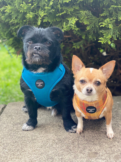 'Bruce' - Blue & Teal Herringbone Dog Harness - The Bark Market