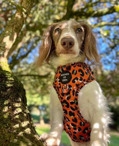 Burnt Orange Leopard Design Dog Harness - The Bark Market