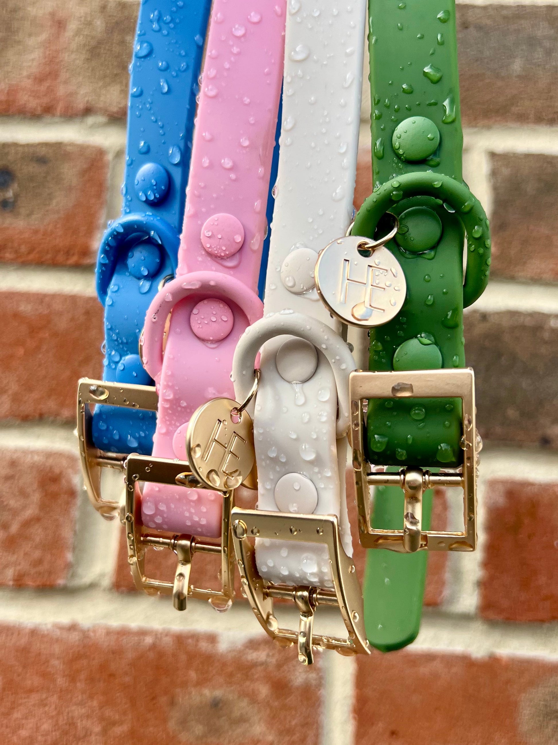 Forest Green 'All Weather' Dog Collar - The Bark Market