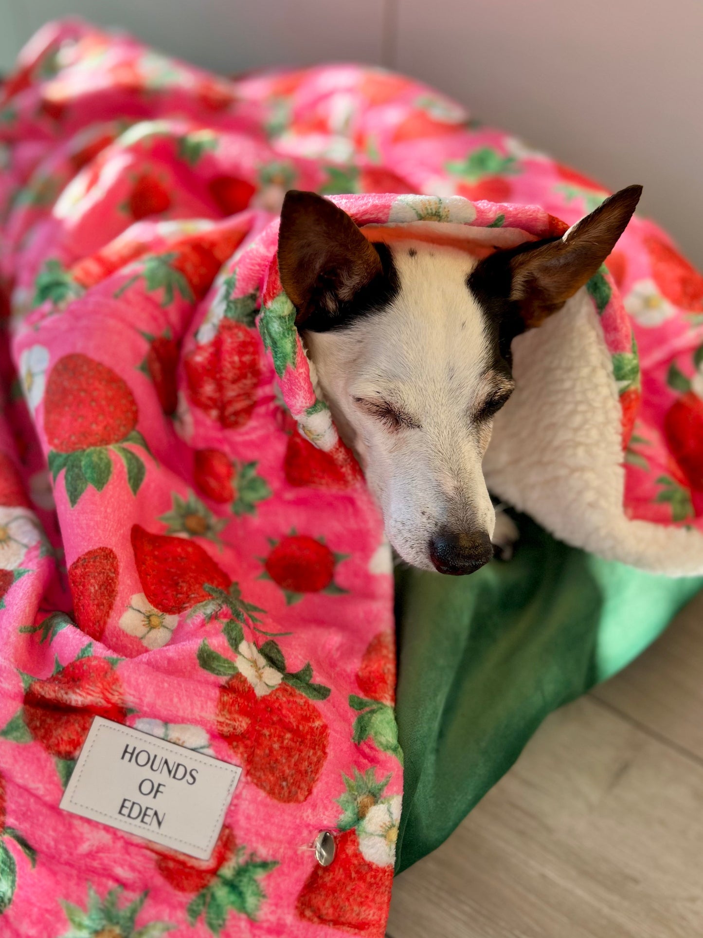 Strawberry Patch Snuggle Blanket - The Bark Market