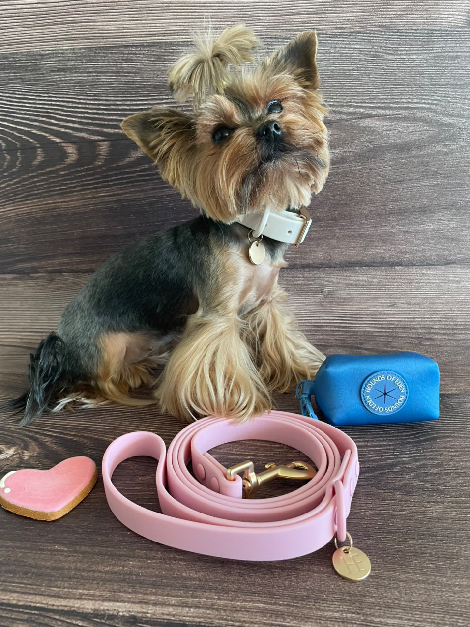 Oatmeal Latte 'All Weather' Dog Collar - The Bark Market
