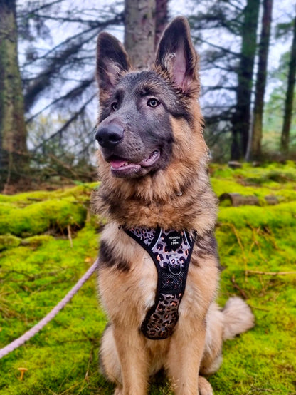 Supaw Strong™ 'Steel Leopard' Utility Harness - The Bark Market