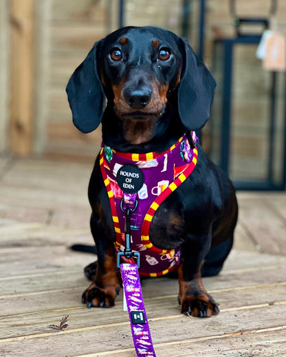 Harry Pawter Design Dog Harness - The Bark Market