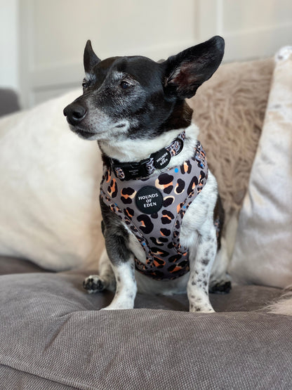 'Steel Leopard' - Khaki/Grey Dog Collar - The Bark Market