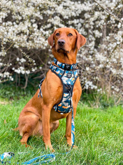 Supaw Strong™ 'Brush It Off' Utility Harness - The Bark Market