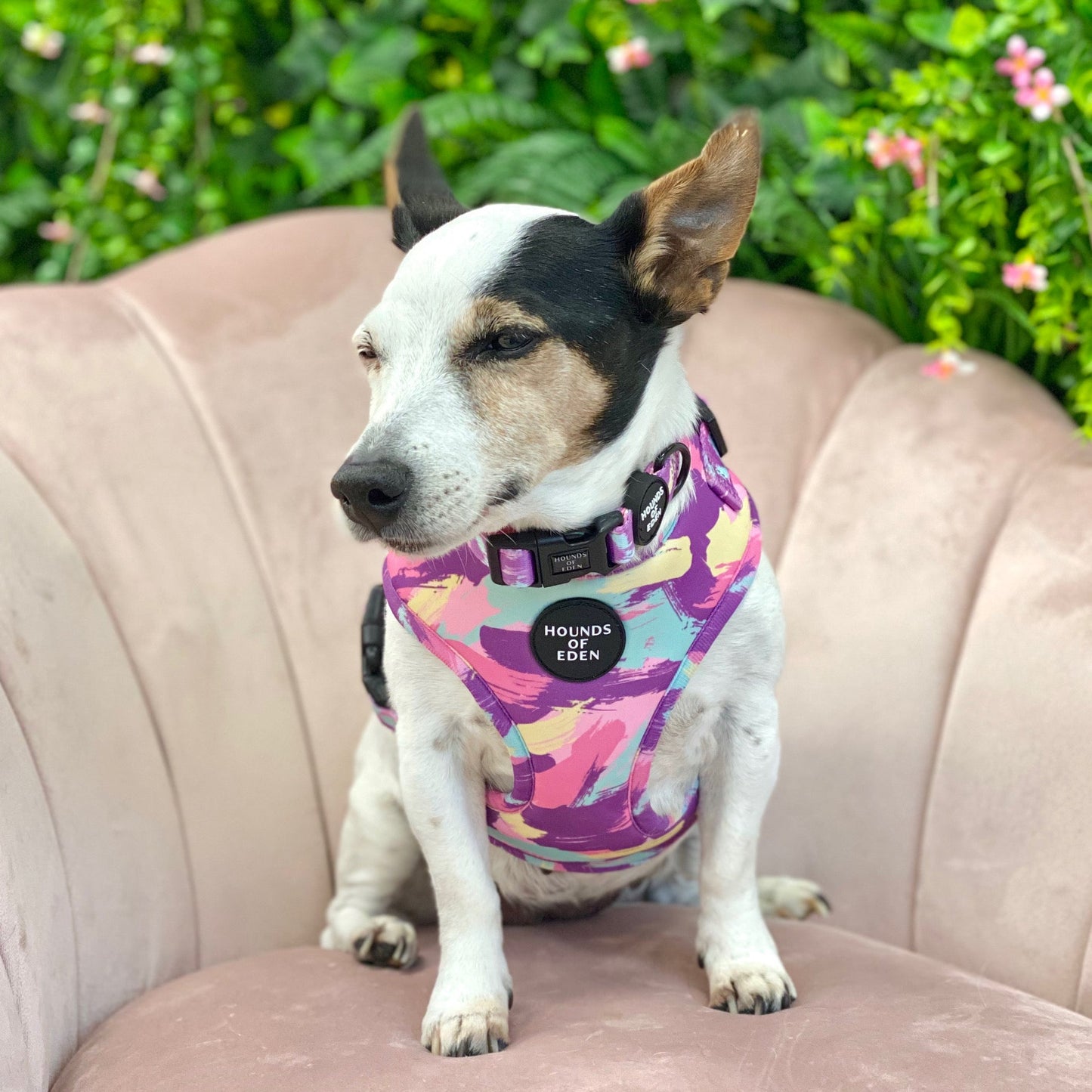 'Blush it Off' - Pink, Purple, Pastel Mint & Lemon Camo Pattern Dog Harness - The Bark Market