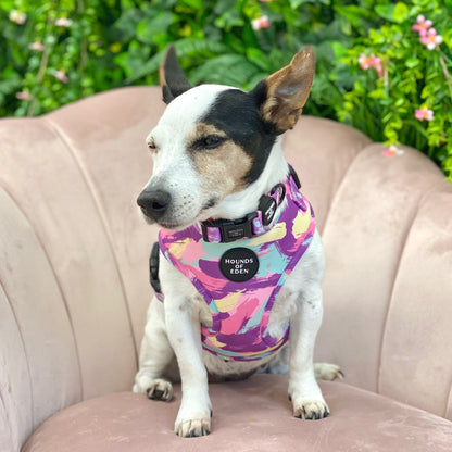 'Blush it Off' - Pink, Purple, Pastel Mint & Lemon Camo Pattern Dog Harness - The Bark Market