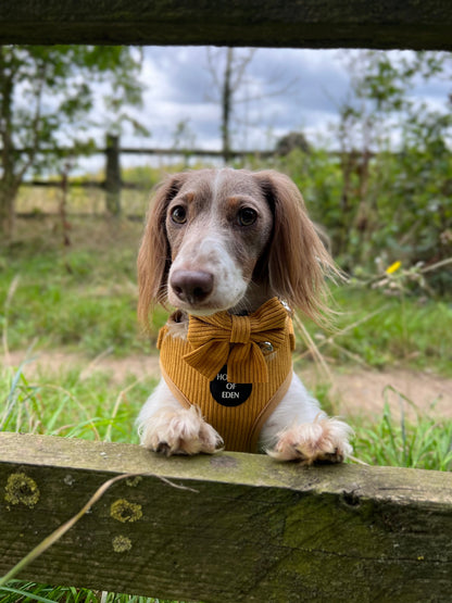 Mustard Yellow Corduroy Harness - The Bark Market