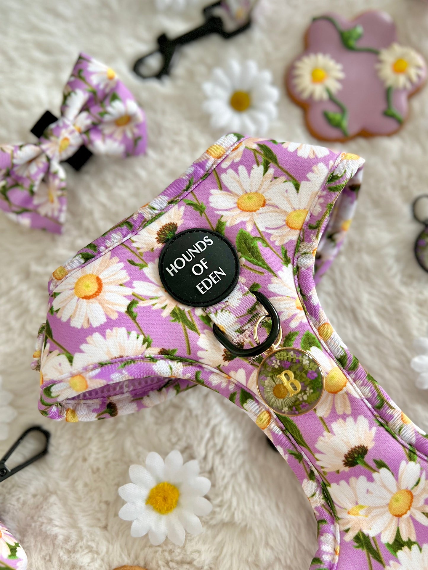 Daisy Dreams Design Dog Harness - The Bark Market
