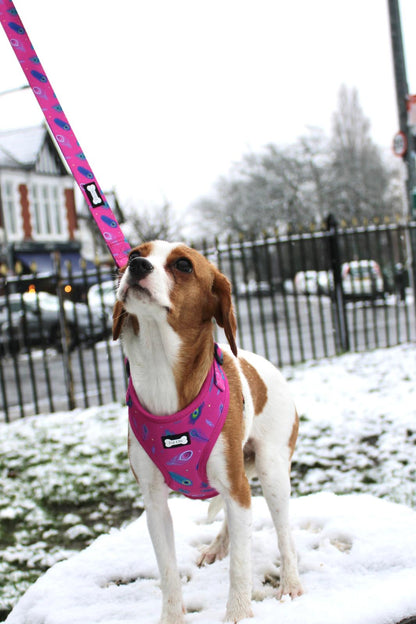 Peacock Power Adjustable Dog Harness - hot pink peacock feather dog harness - The Bark Market