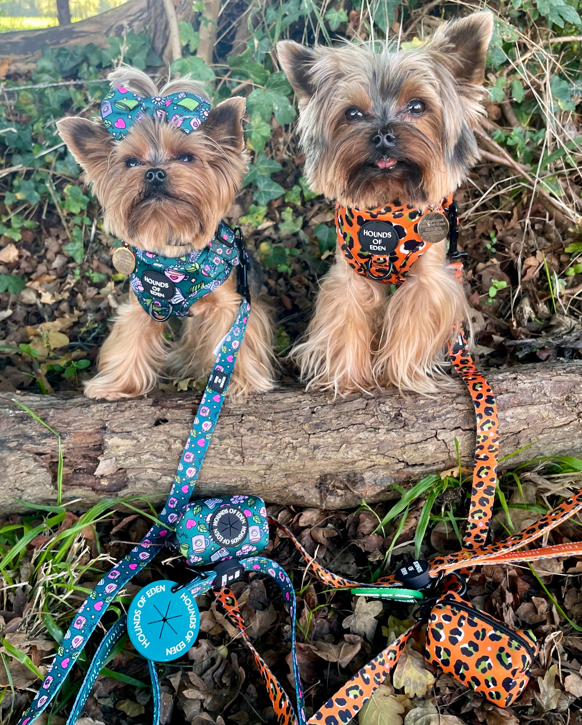 Self Care Design Dog Harness - The Bark Market