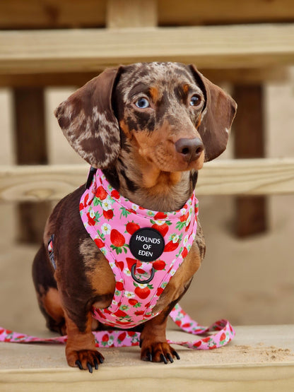 Strawberry Patch Snuggle Blanket - The Bark Market