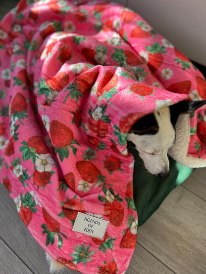 Strawberry Patch Design Dog Harness - The Bark Market