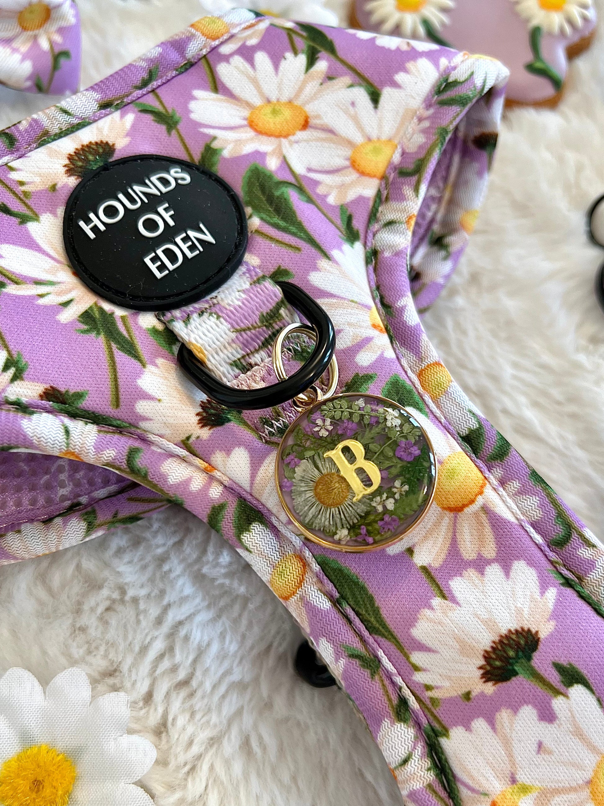 Daisy Dreams Design Dog Harness - The Bark Market