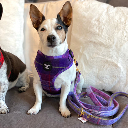 'Molly' - Pink & Purple Check Dog Harness - The Bark Market