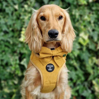 Mustard Yellow Corduroy Sailor Bow Tie - The Bark Market