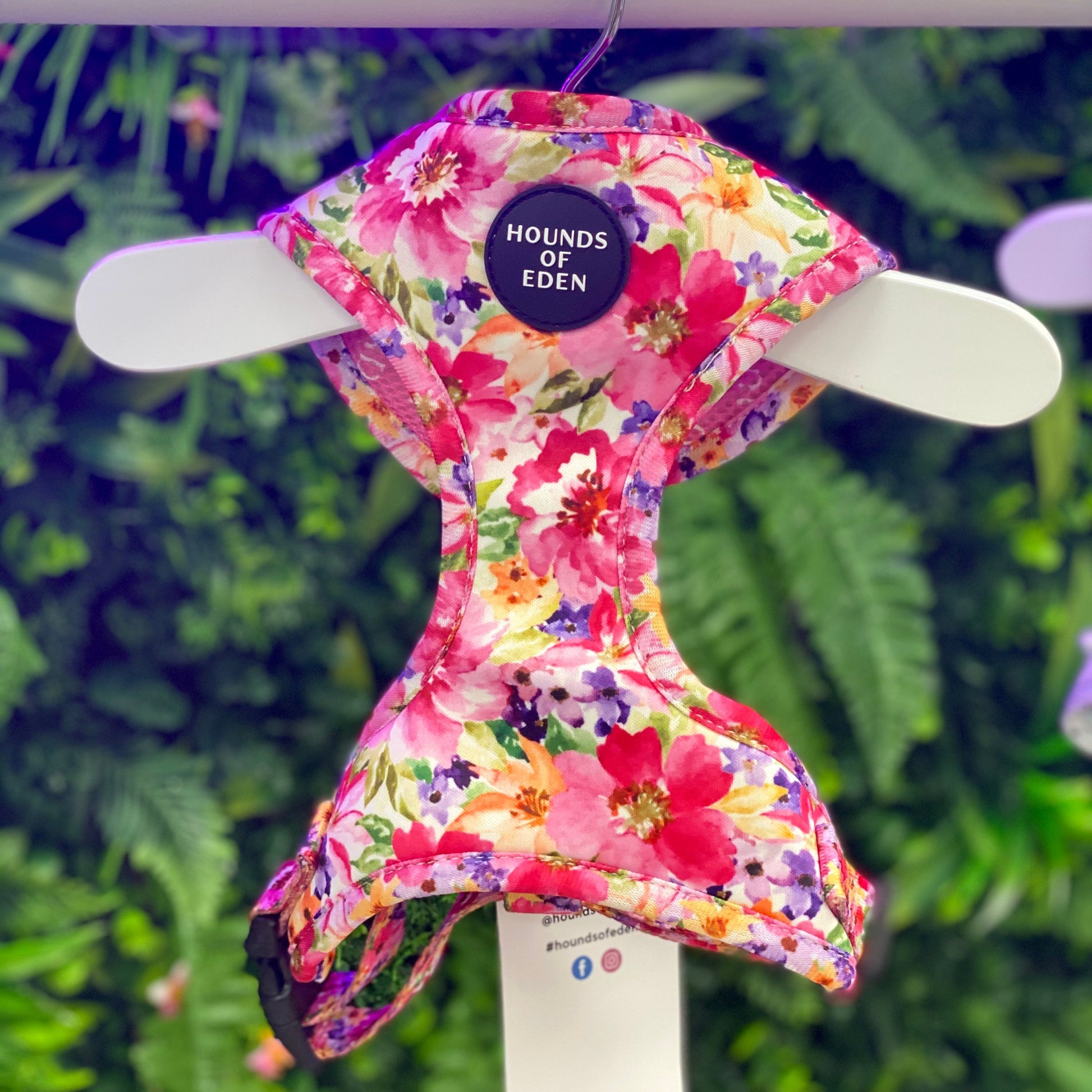 'Florentina' - Floral Dog Collar - The Bark Market