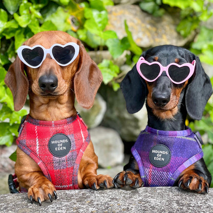 'Sammi' - Red & Grey Check Dog Harness - The Bark Market