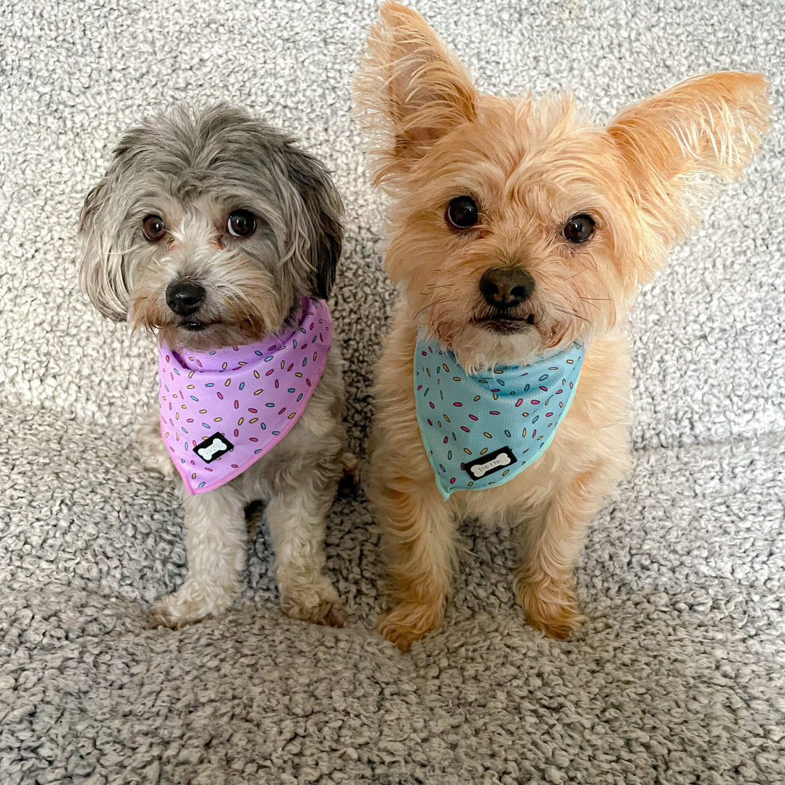 Sprinkles For Days Cooling Bandana - Pink - The Bark Market